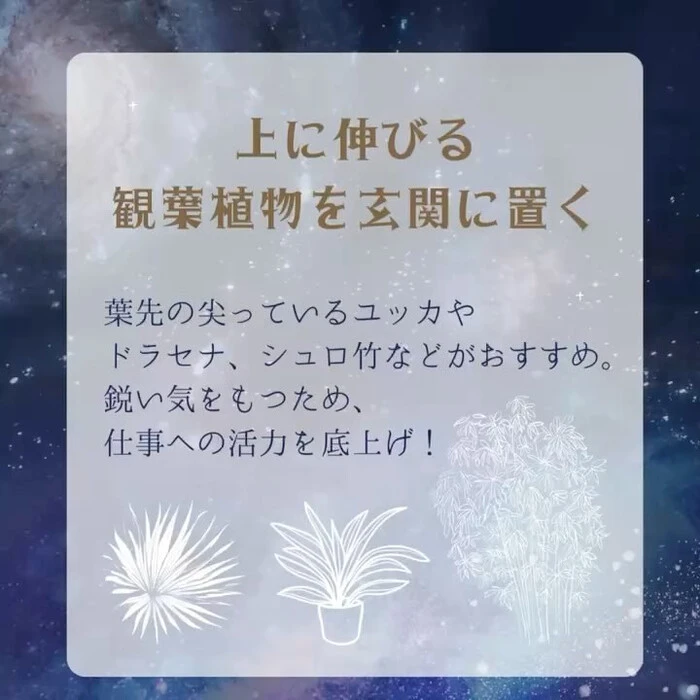 画像255
