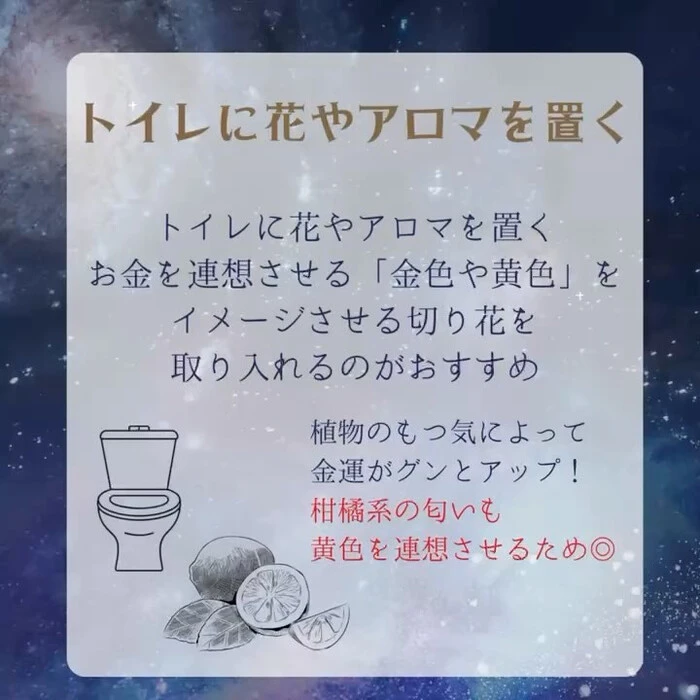 画像261