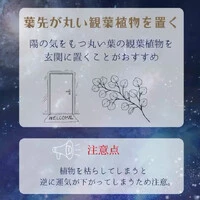 画像262