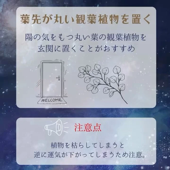 画像262