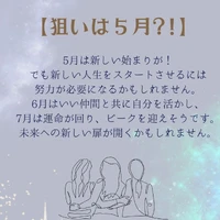 画像292