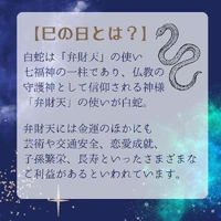 画像313